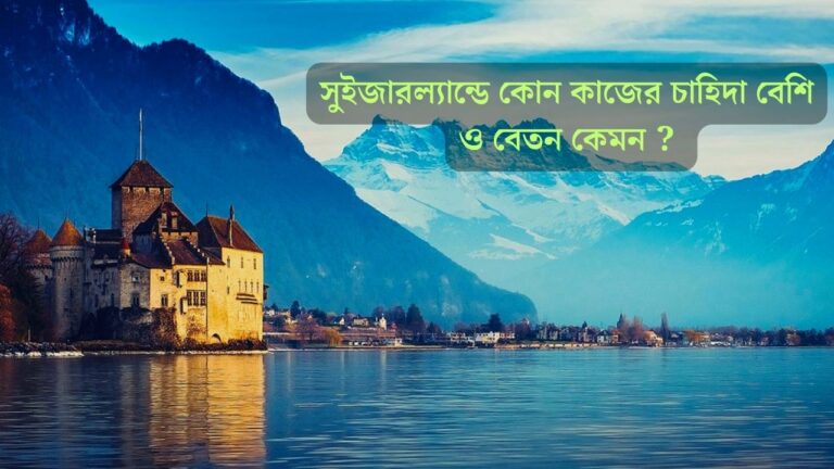 সুইজারল্যান্ডে কোন কাজের চাহিদা বেশি ও বেতন কেমন ?
